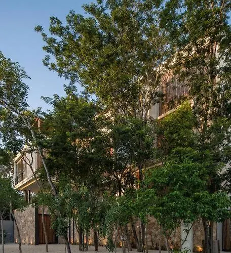 Beyond Amazing 3bd 2br/ Balcony Apartment Tulum